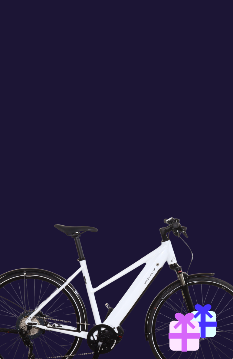 Electric bikes Upway the specialist in electric bikes refurbished Upway